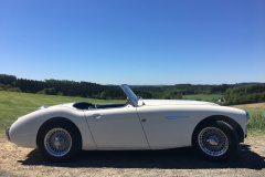 39-Bild